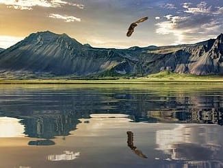 नववर्ष ये प्रकृति का