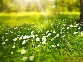 व्यक्तित्व